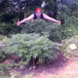 Meet your Posher, Lawrence